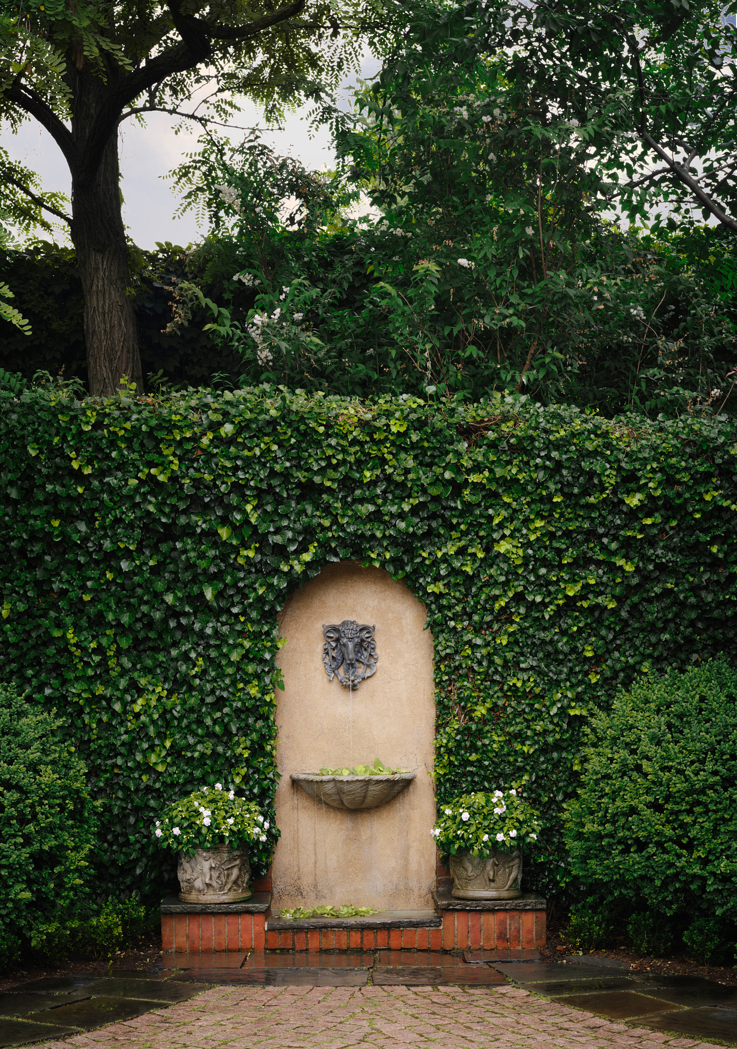 Terraced gardens and estate grounds at Imari Georgetown